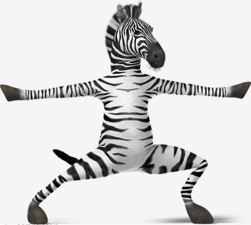 Zèbre neuroatypique