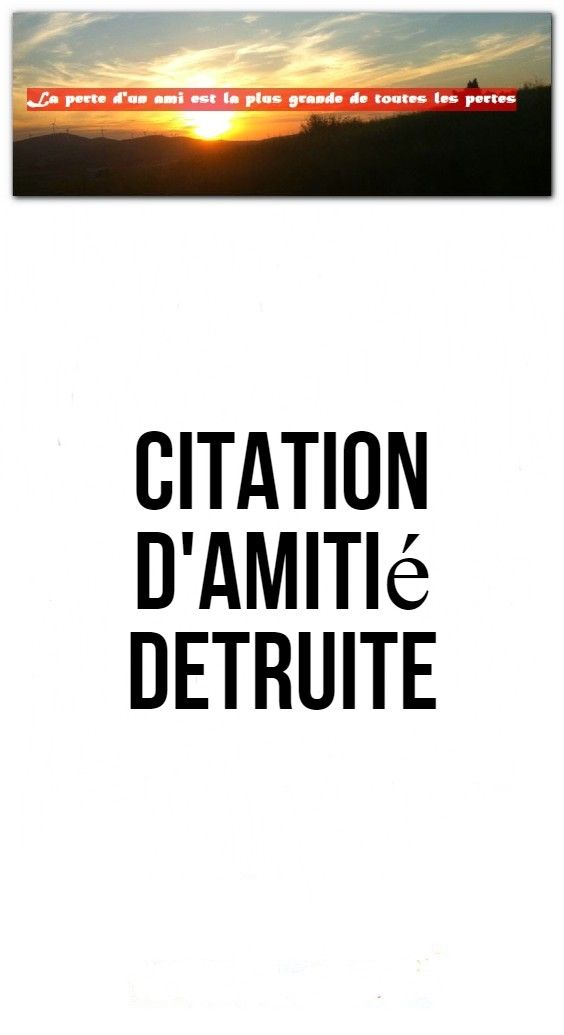 surdoués s'attirent