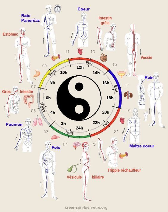 comment savoir son qi