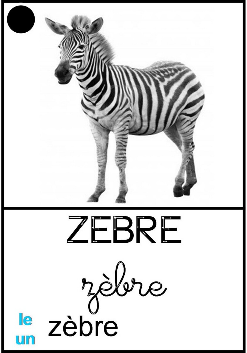 etre un zebre