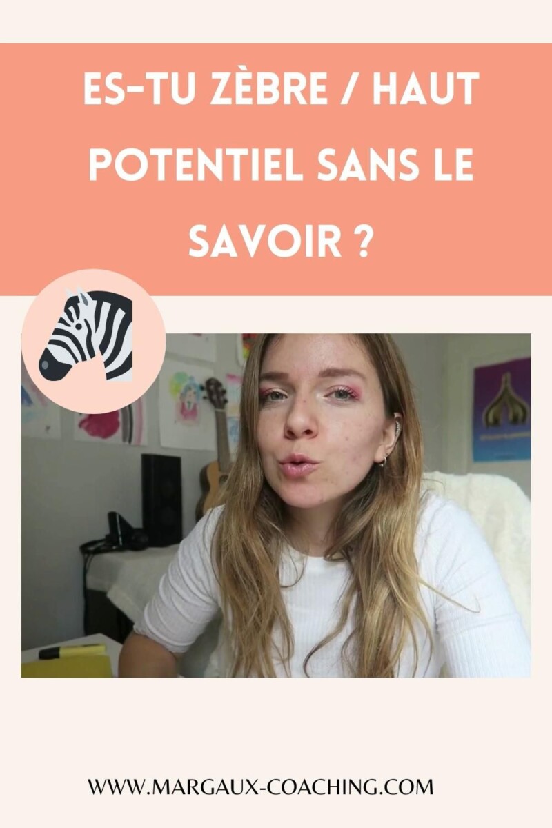 qu est ce qu un zebre