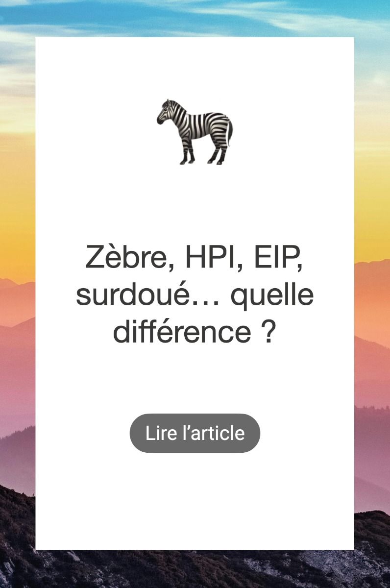 qu est ce qu un zebre