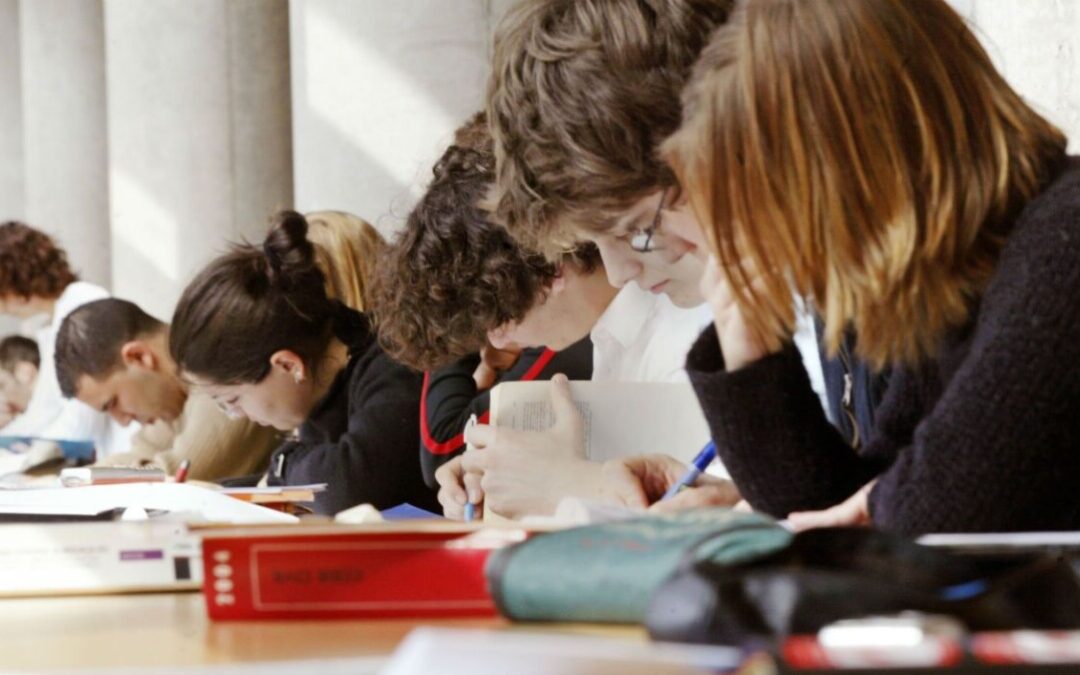 Voyager hors des sentiers battus : quand on s’éloigne du quotient intellectuel moyen