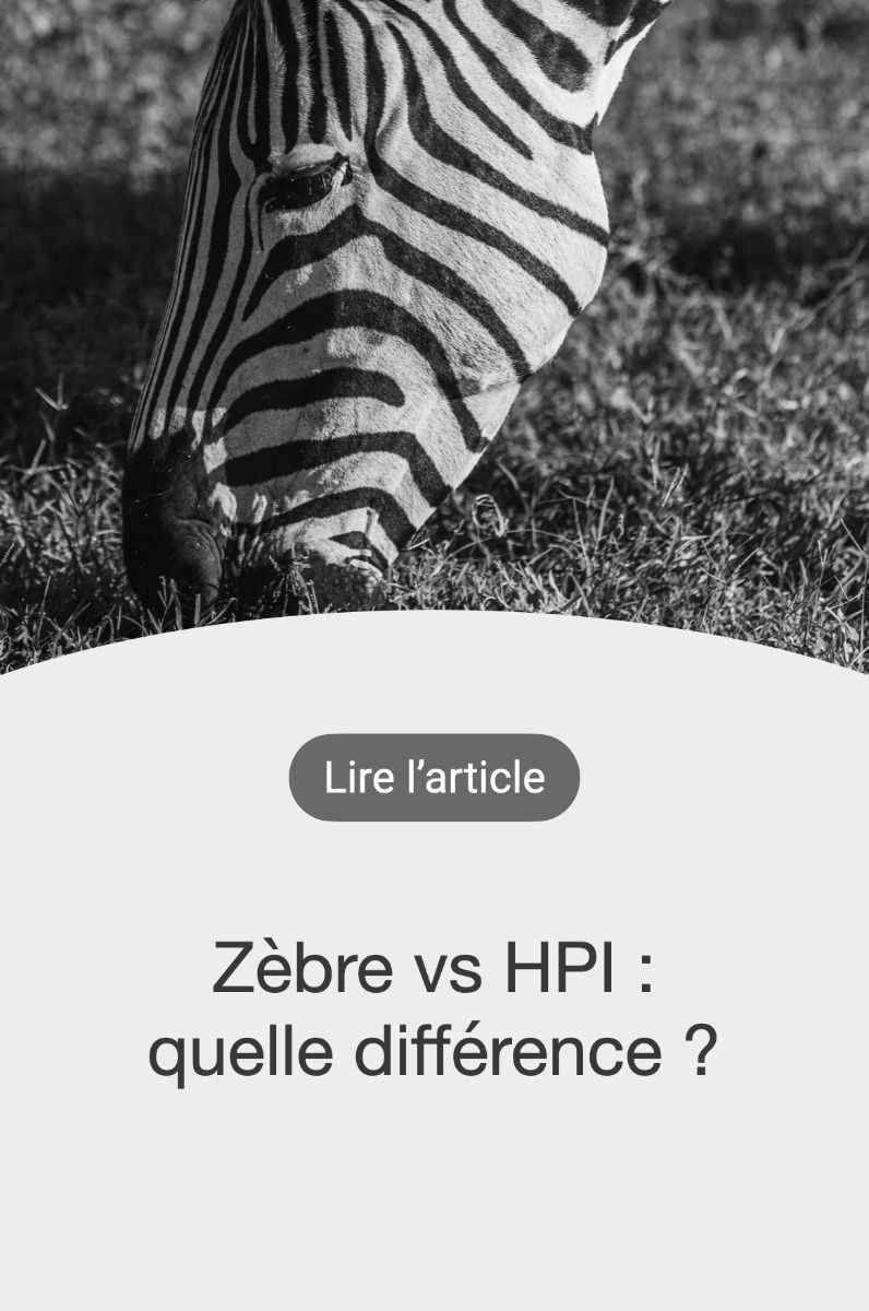 etre un zebre