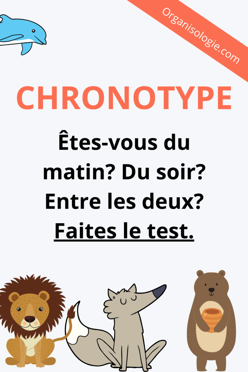 cyclothymie surdoué