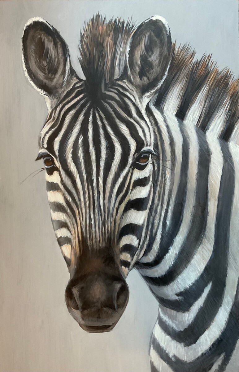 zebre hpi