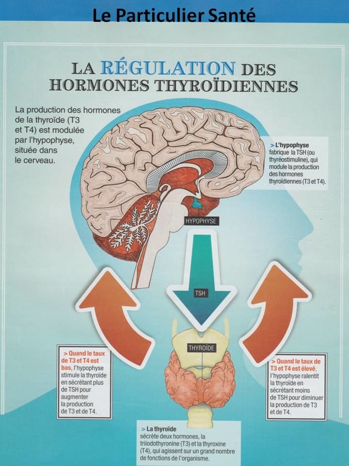 cyclothymie surdoué