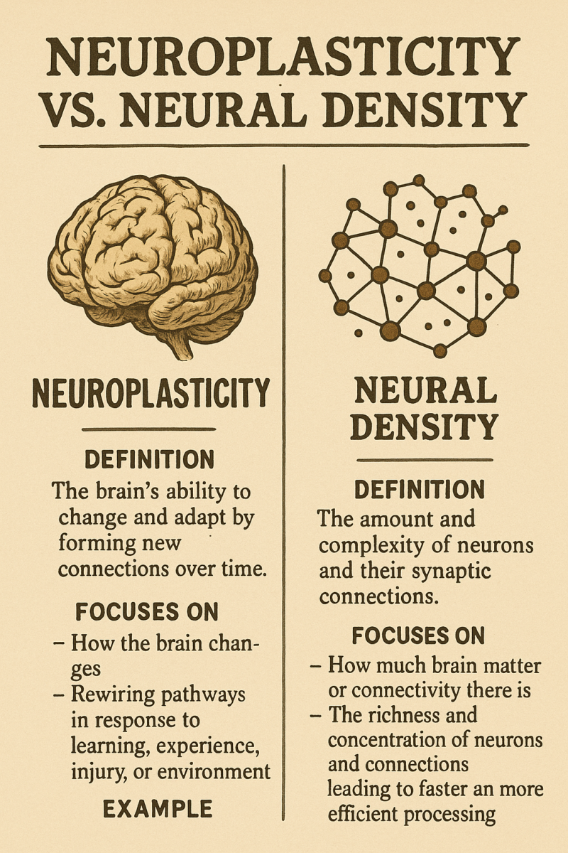 neurotypique