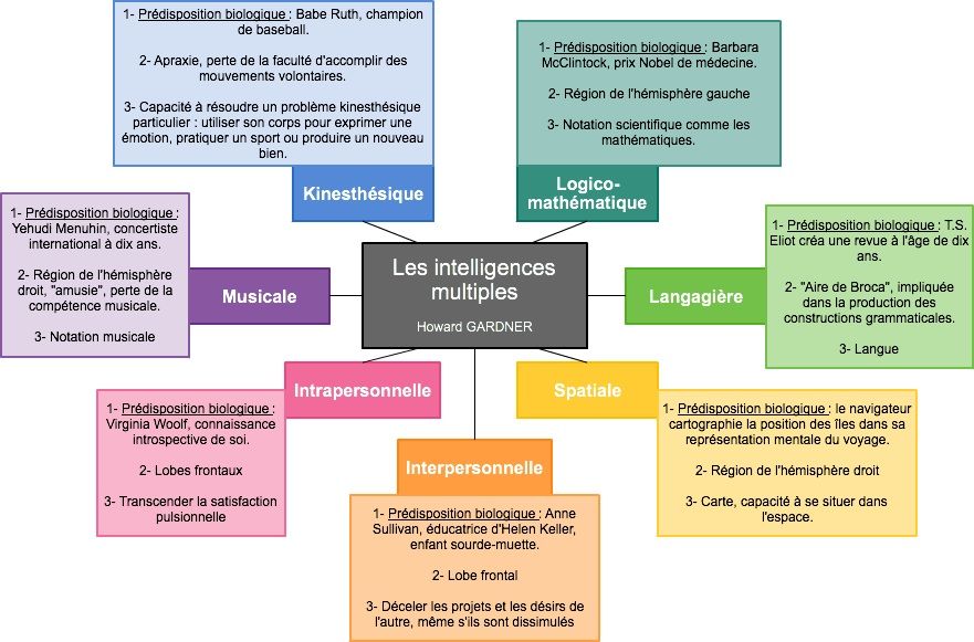 Quotient intellectuel moyen