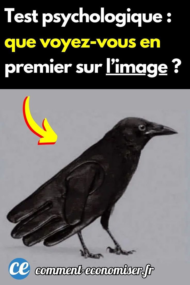 test quotient intellectuel officiel