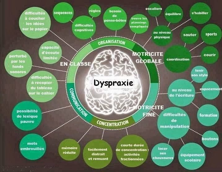 Dyspraxie adulte quotidien
