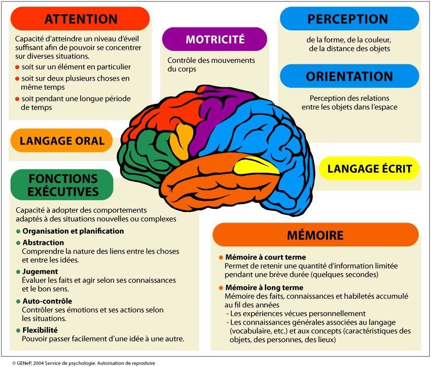 Neurotypique vs Neuroatypique