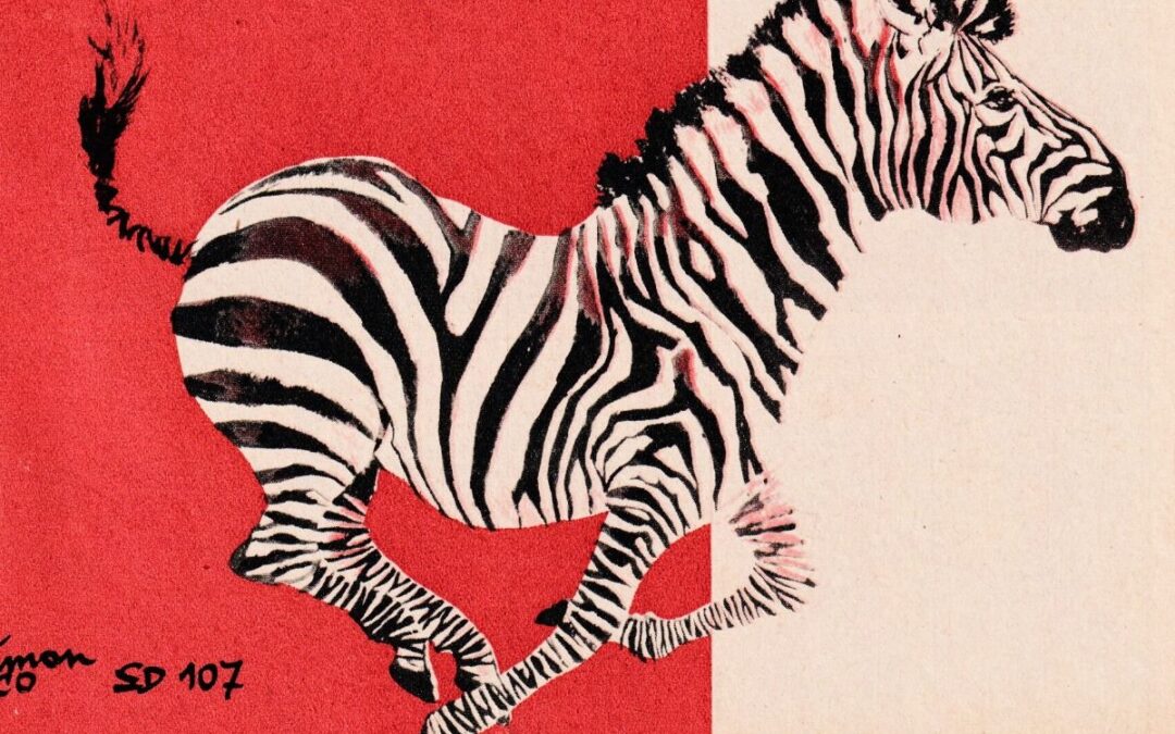 L’art de la singularité : ce que signifie pour moi etre zebre