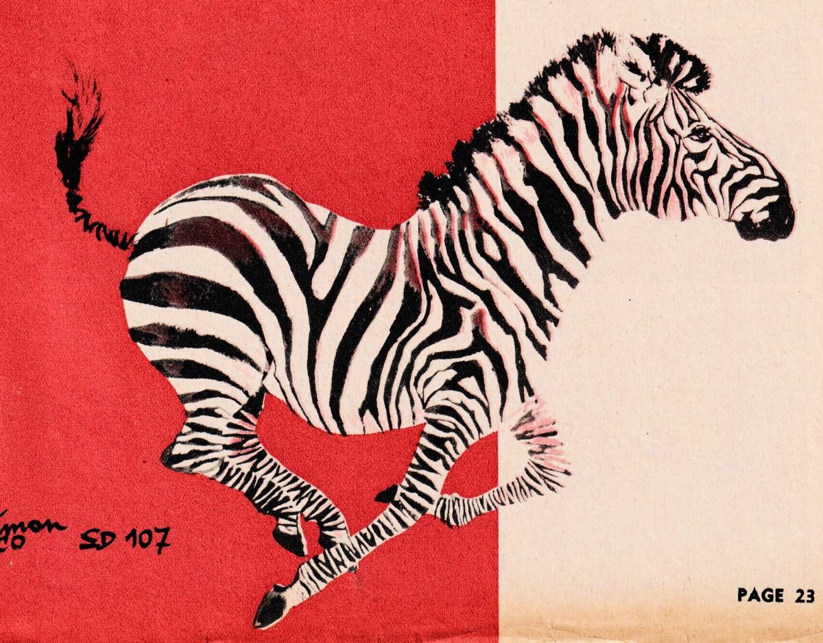 etre zebre
