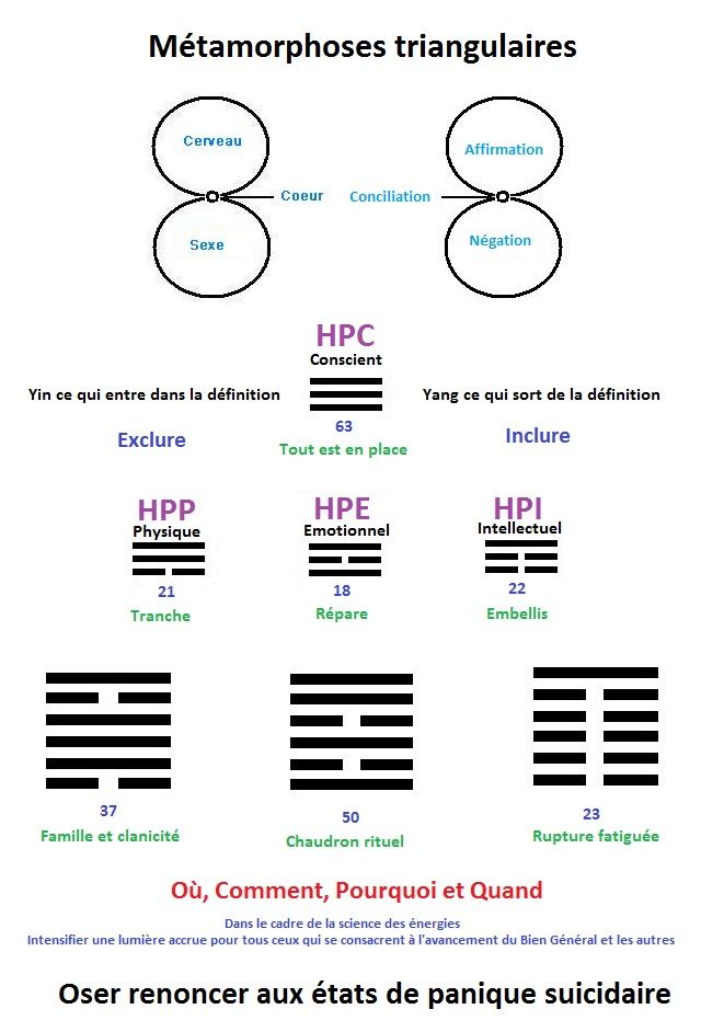 Haut potentiel émotionnel HPE