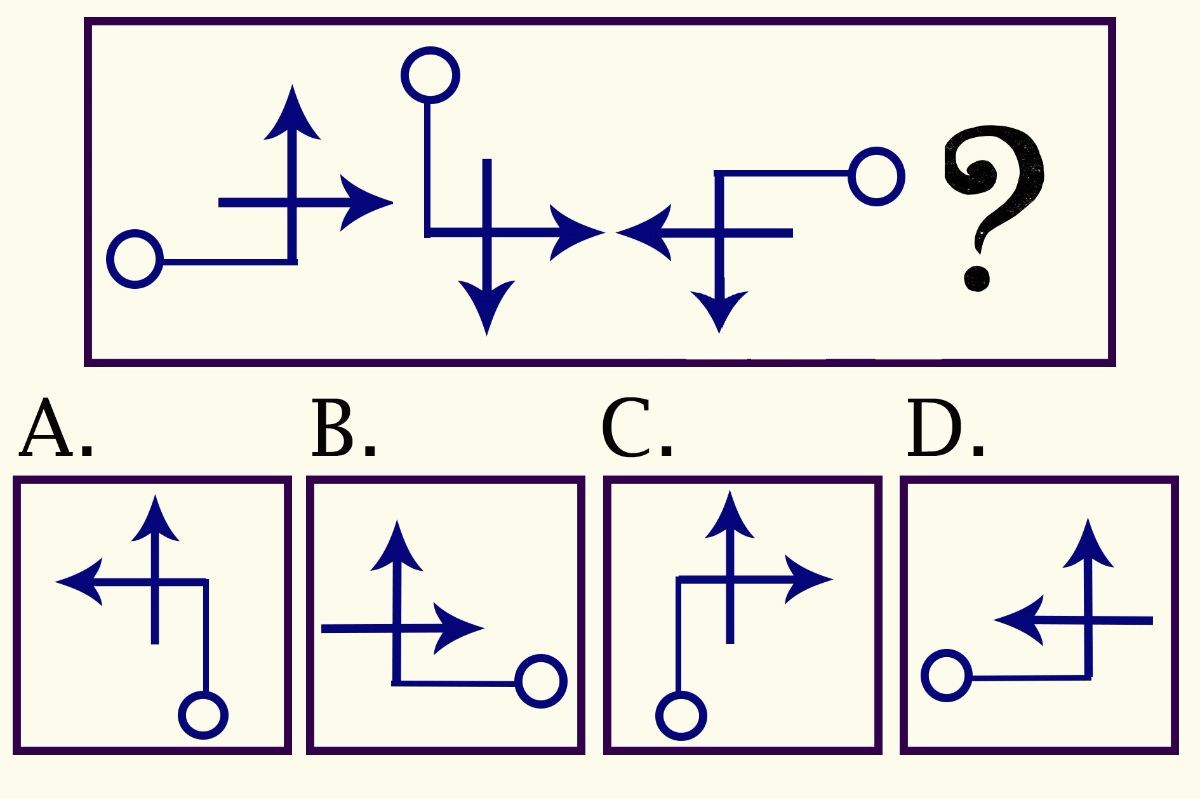 Coefficient intellectuel test