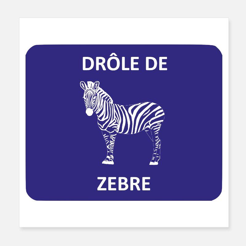 etre un zebre