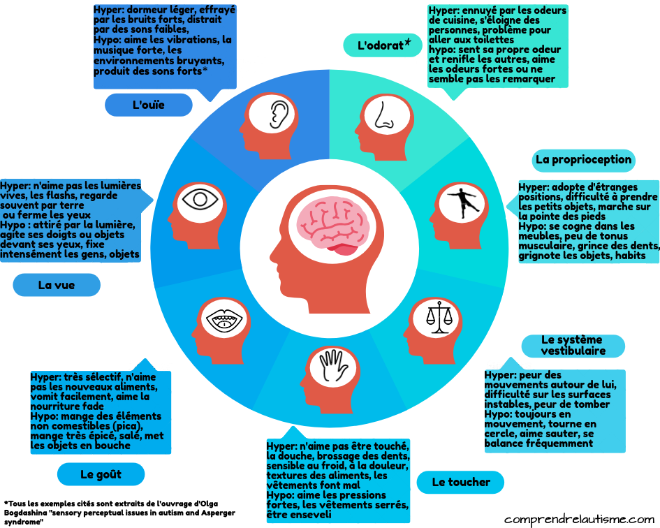 hypersensorialité