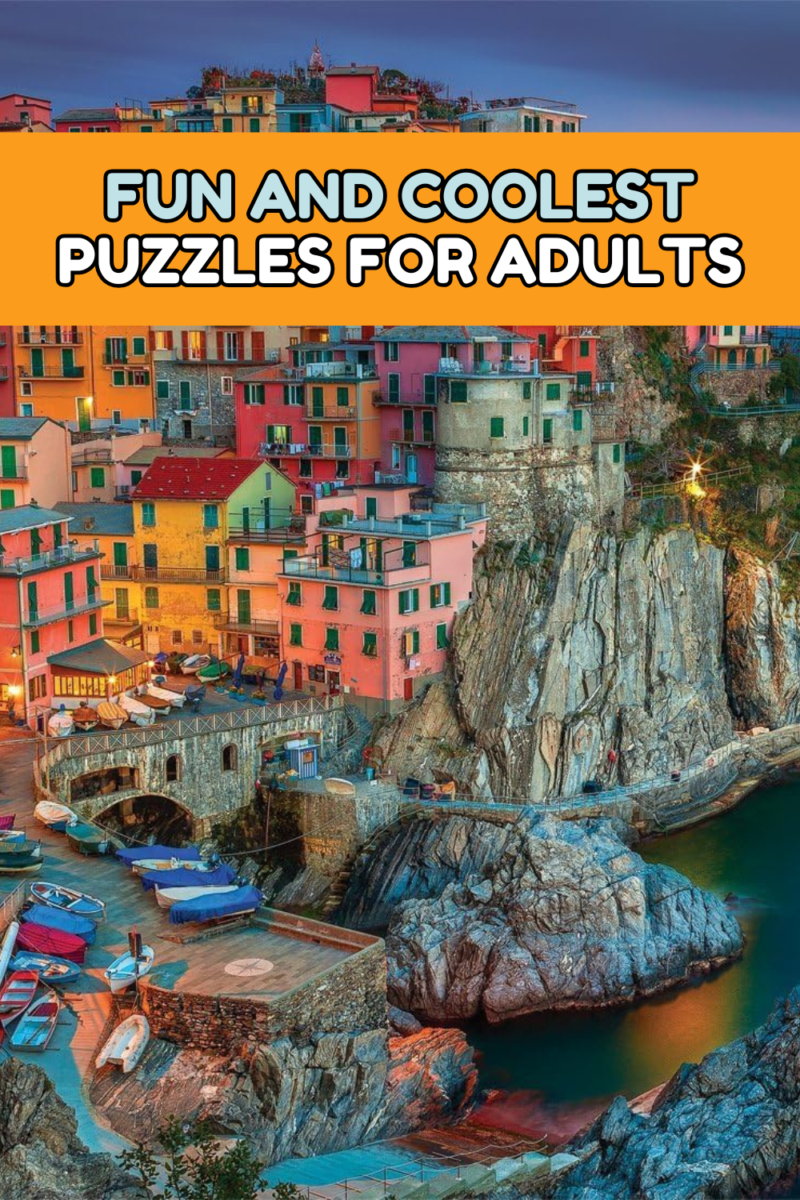 HPI adulte puzzle