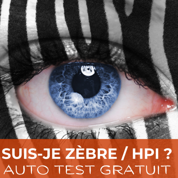Rayures et nuances : au fond qu est ce qu un zebre ?