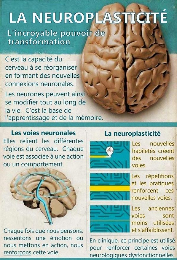 Définition neurotypique