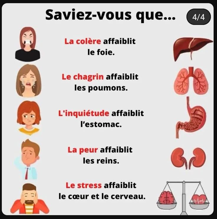 complexe du sauveur