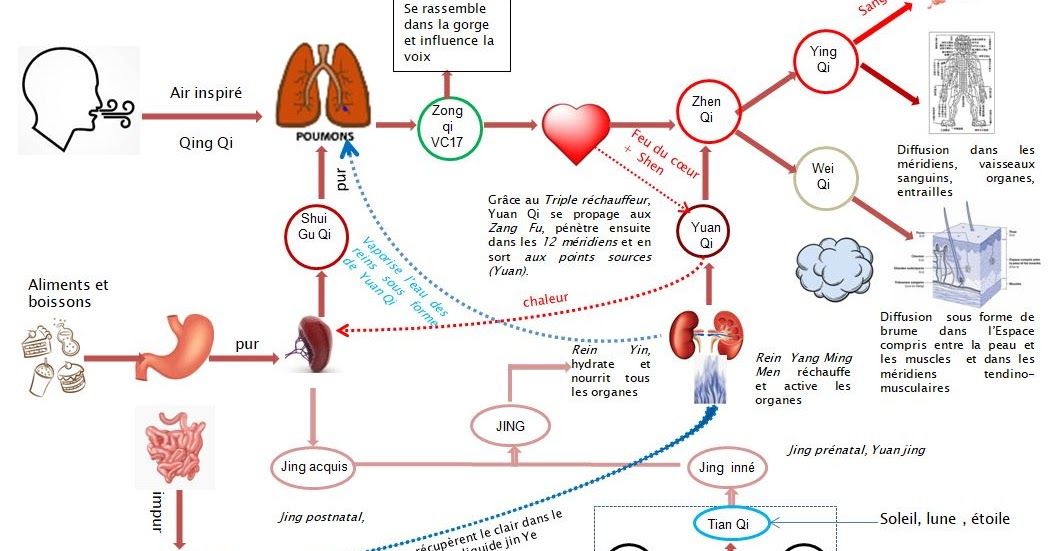 Le besoin de comprendre : comment savoir son qi sans stress