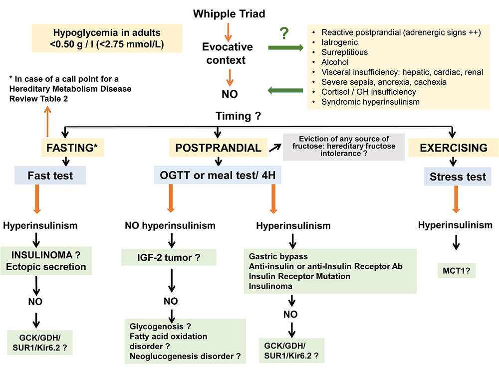 Symptômes HPI adulte