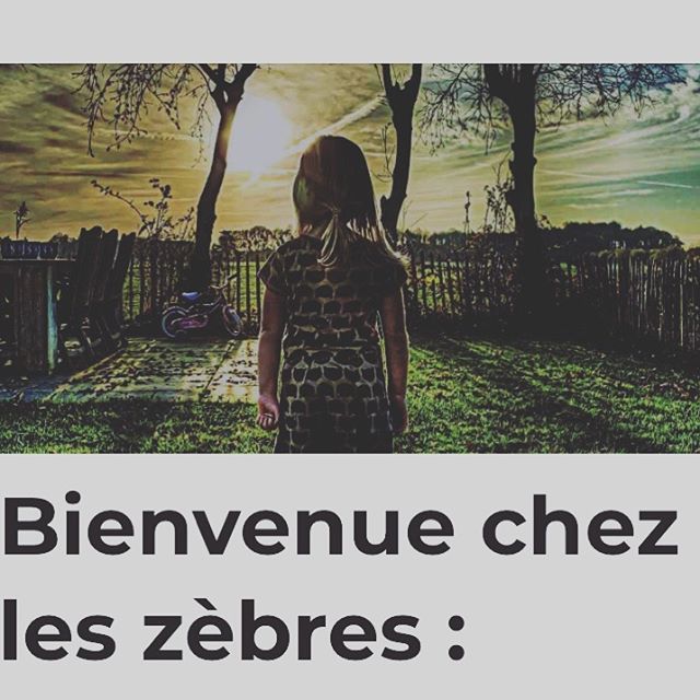 Portrait zèbre HPI