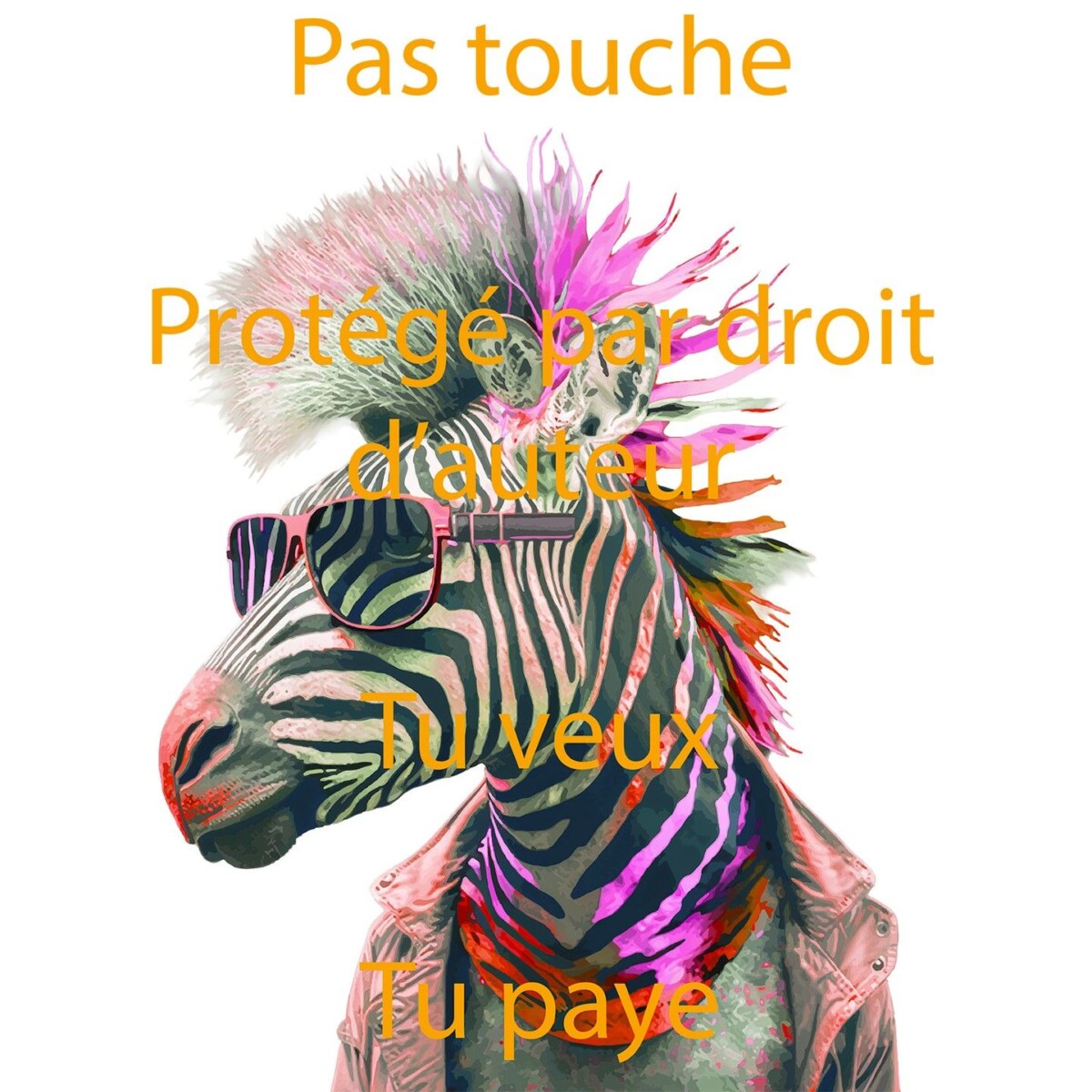 qu est ce qu un zebre