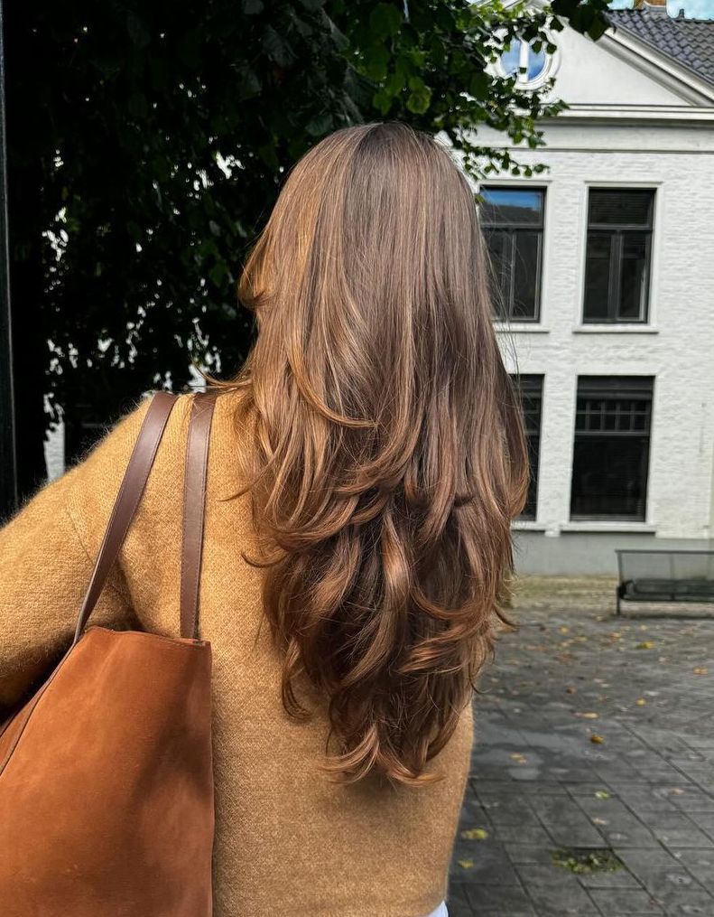 meches rideaux cheveux