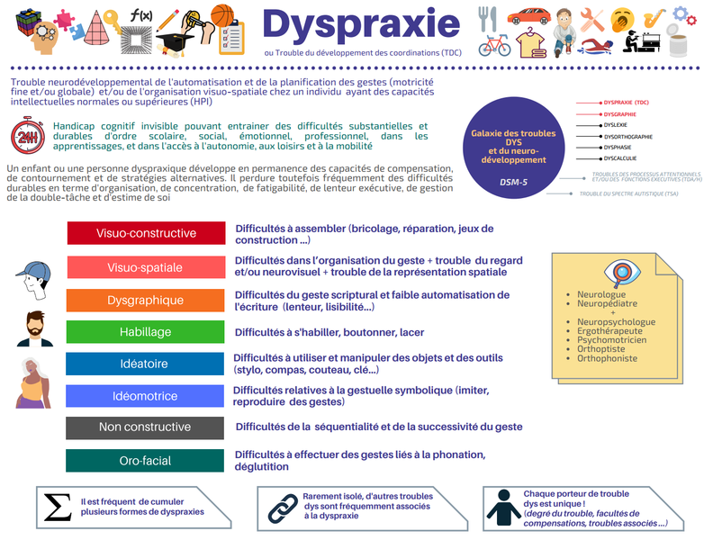 Dyspraxie adulte quotidien